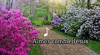 Aimer comme Jésus